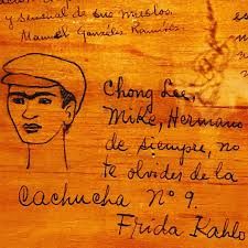 Frida disegno cachucas n 9